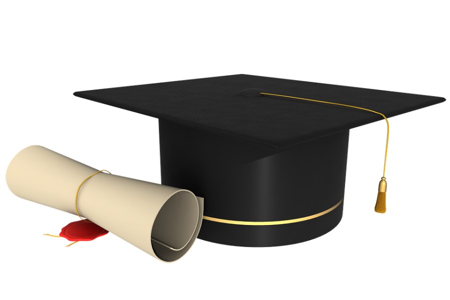 laurea laurea