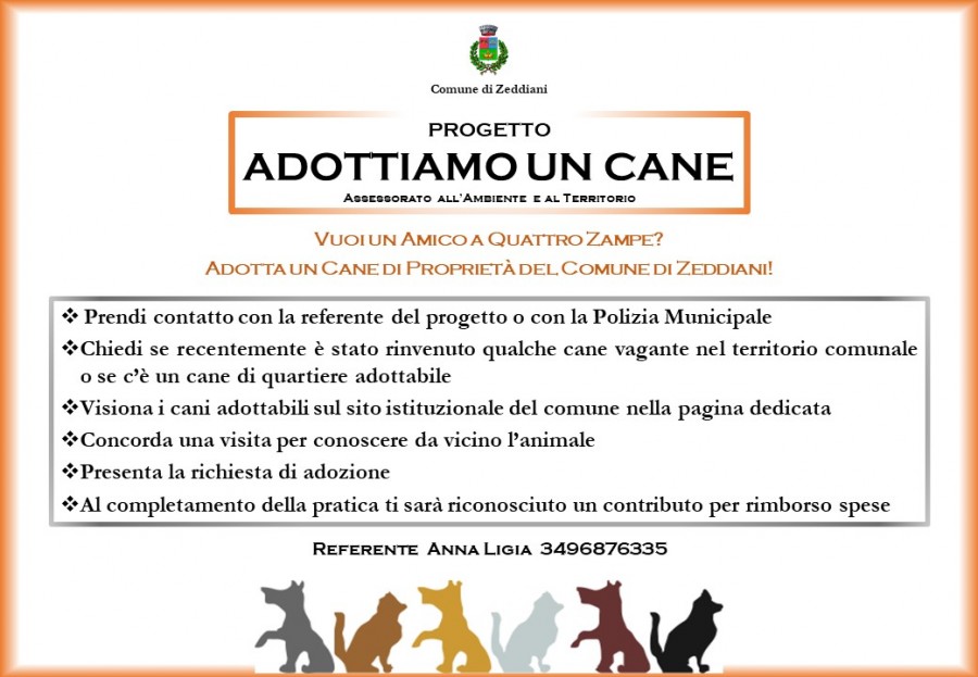 adottiamo un cane