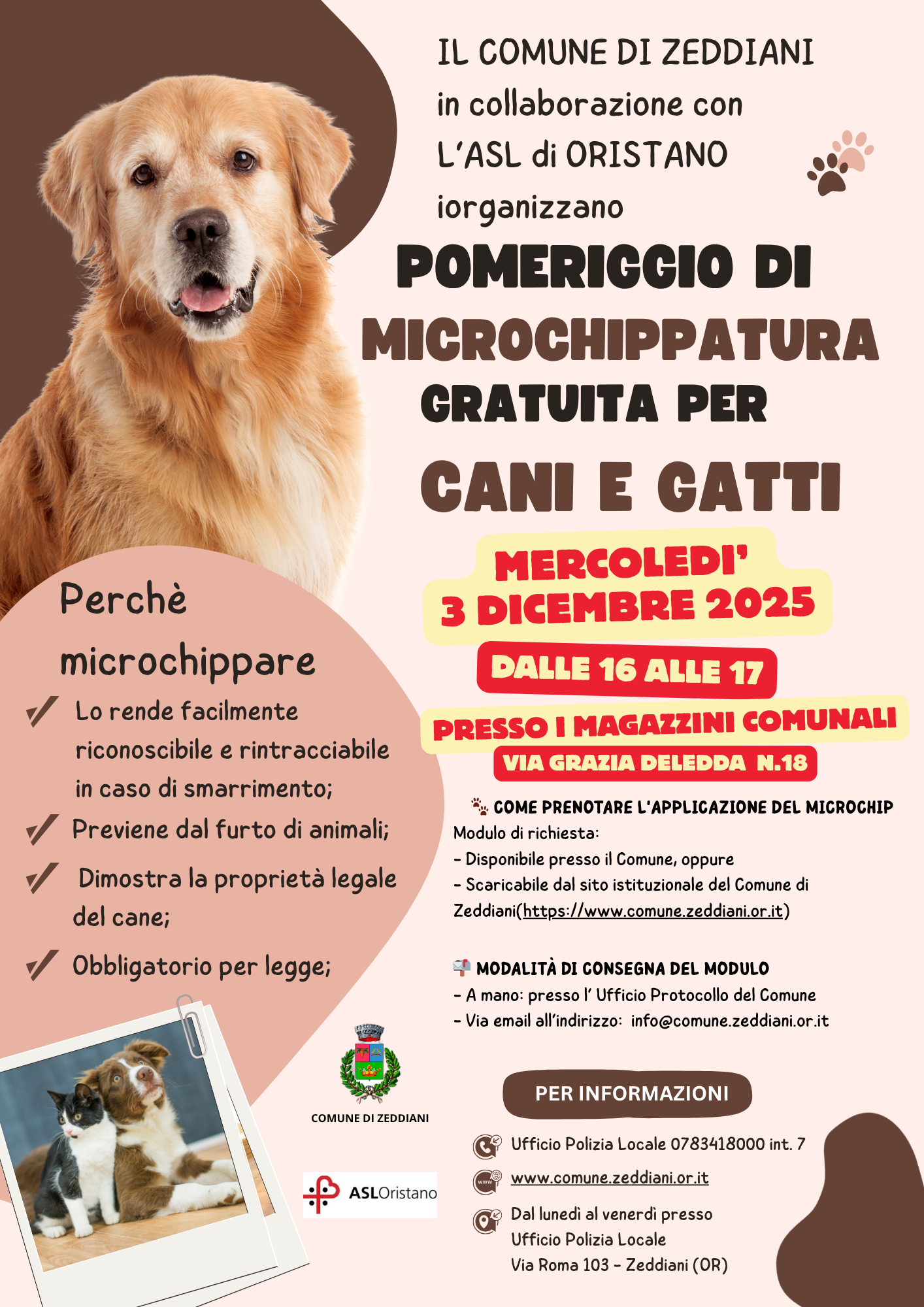 Beige and Brown Modern Dog Walker Flyer1